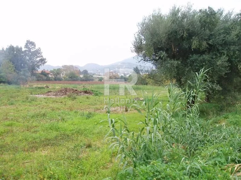 Οικόπεδο 8.000τ.μ. για πώληση-Πάτρα » Προάστιο