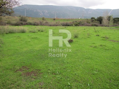 Other 27.500sqm for sale-Avlona