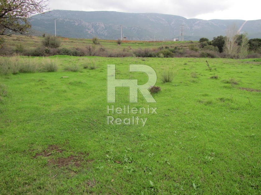 Other 27.500 sqm for sale, Rest Of Attica, Avlona