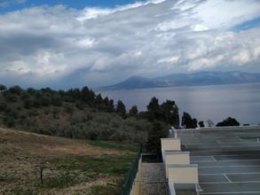 Αγροτεμάχια 4.055 τ.μ. για πώληση