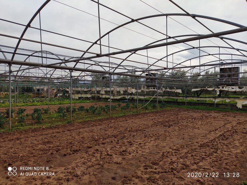 Επιχειρηματικό κτίριο 2.000 τ.μ. για πώληση