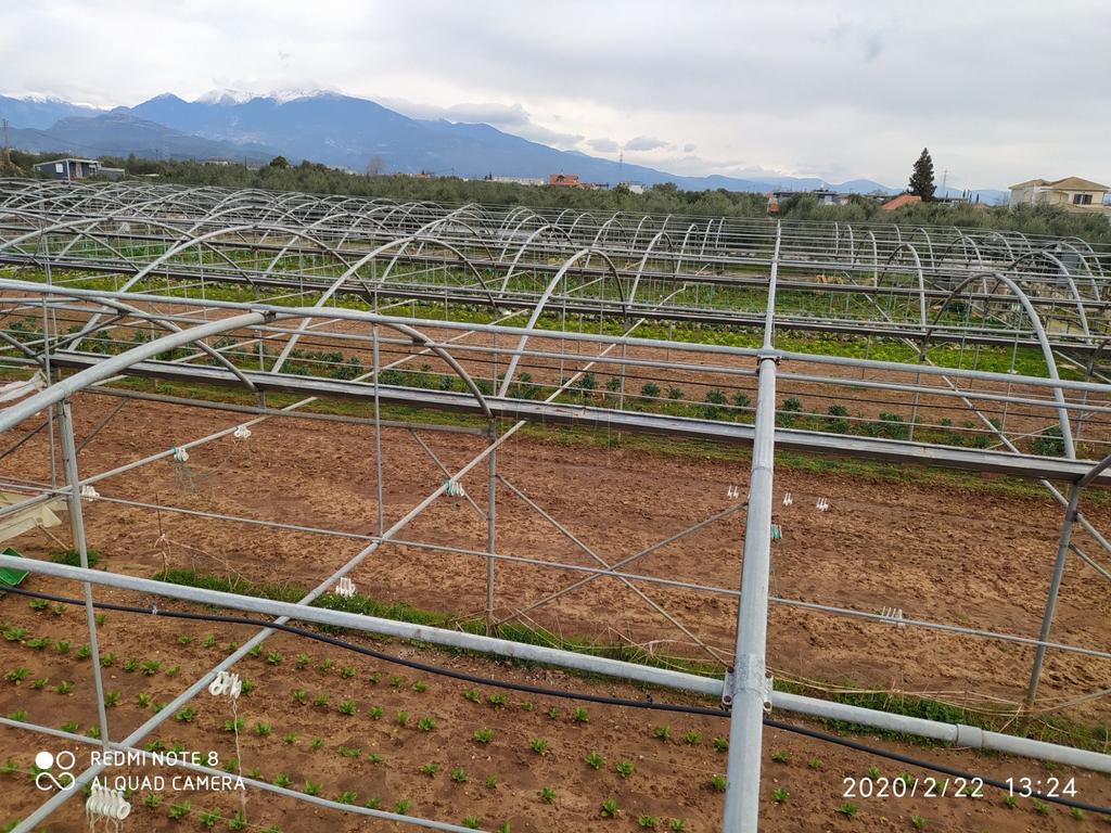 Επιχειρηματικό κτίριο 2.000 τ.μ. πρός πώληση, Αιτωλοακαρνανία, Αγρίνιο
