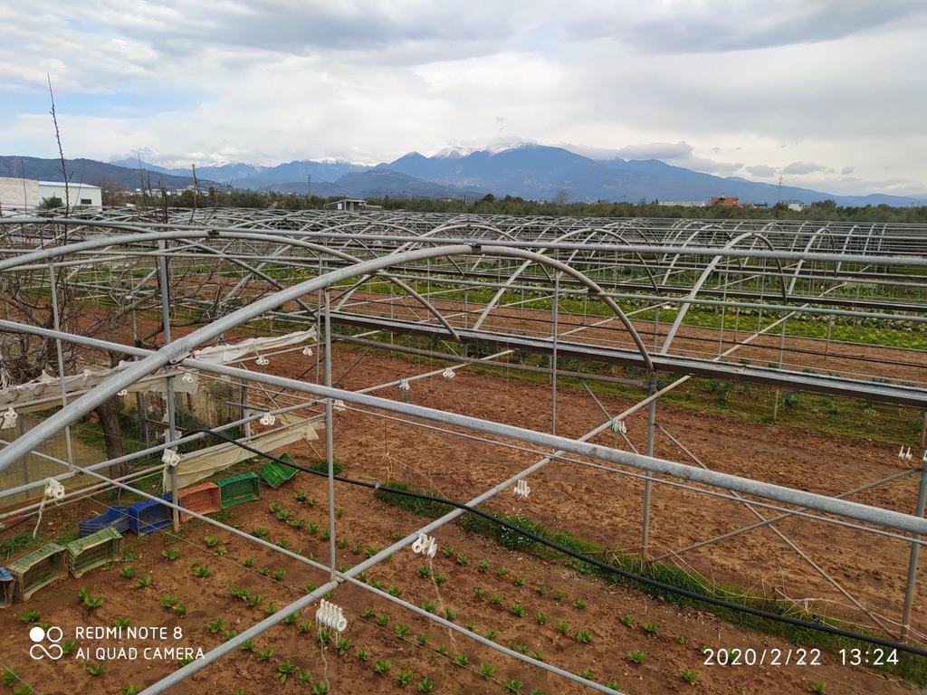 Επιχειρηματικό κτίριο 2.000 τ.μ. πρός πώληση, Αιτωλοακαρνανία, Αγρίνιο
