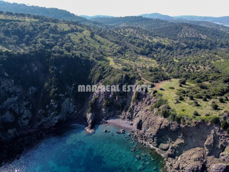 Αγροτεμάχια 10.800 τ.μ. προς πώληση, Παλιούρι Παλλήνης
