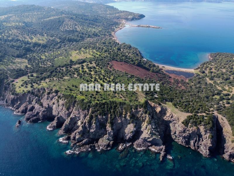 Αγροτεμάχια 10.800 τ.μ. προς πώληση, Παλιούρι Παλλήνης