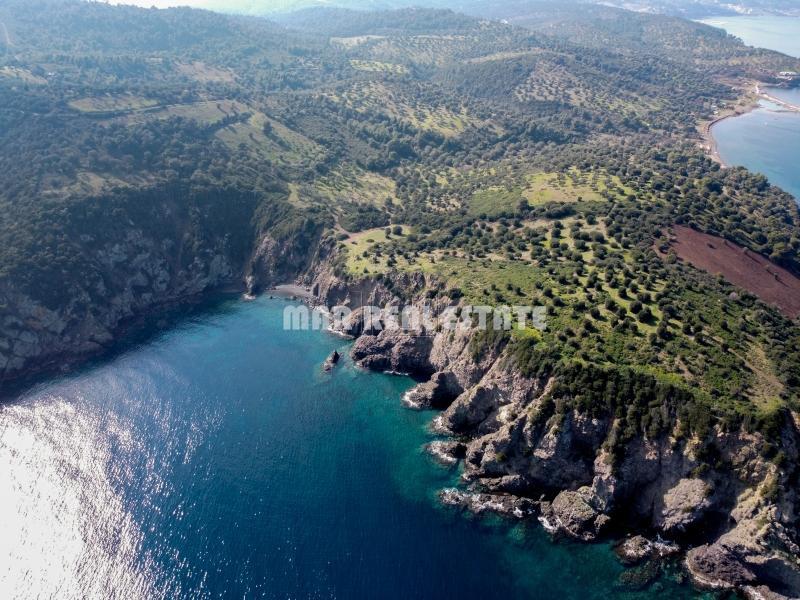 Αγροτεμάχια 10.800 τ.μ. προς πώληση, Παλιούρι Παλλήνης
