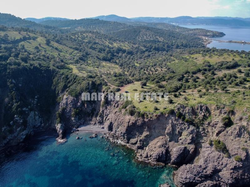 Αγροτεμάχια 10.800 τ.μ. προς πώληση, Παλιούρι Παλλήνης