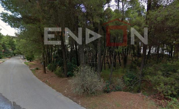 Land plot 1.800sqm for sale-Drosia
