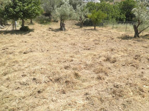 Land plot 650 sqm for sale, Rest Of Attica, Fili