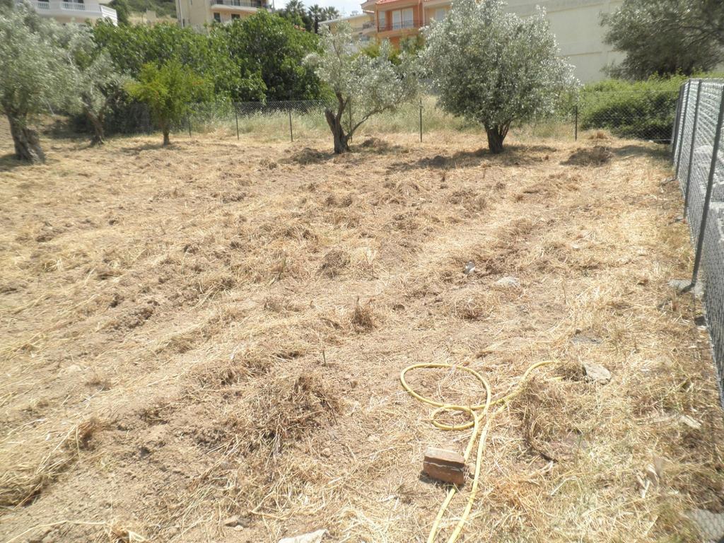 Οικόπεδο 650 τ.μ. προς πώληση, Φυλή