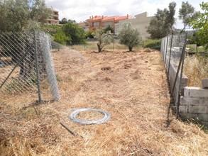 Οικόπεδο 650 τ.μ. προς πώληση, Φυλή-thumb-3