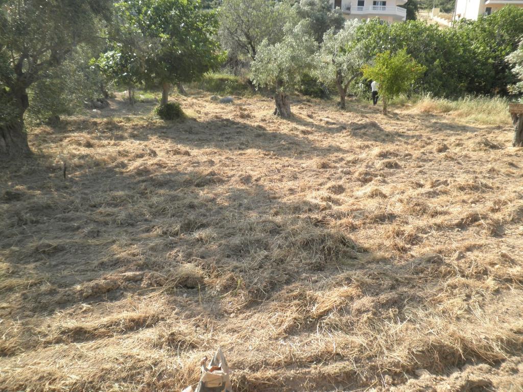 Οικόπεδο 650 τ.μ. προς πώληση, Φυλή