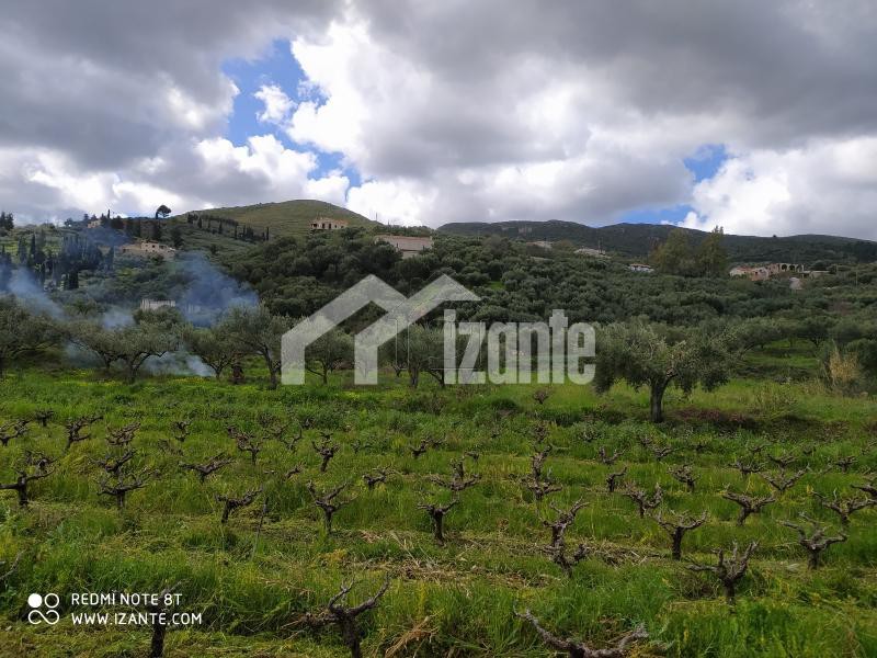 Land plot 1.880 sqm for sale, Zante, Laganas