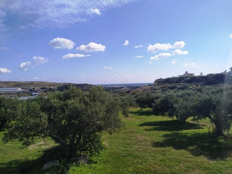 Αγροτεμάχια 4.030 τ.μ. πρός πώληση, Ν. Λασιθίου, Ιεράπετρα