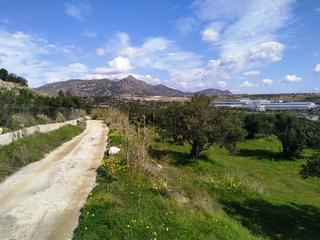 Αγροτεμάχια 4.030 τ.μ. για πώληση, Ν. Λασιθίου, Ιεράπετρα-thumb-4