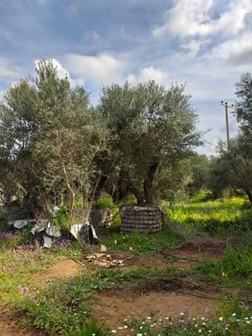 Γη 1 τ.μ. προς πώληση, Δουναίικα Αμαλιάδας