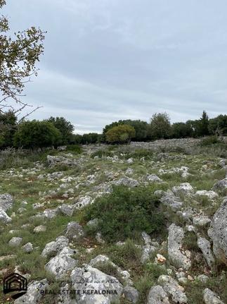 Αγροτεμάχια 5.000 τ.μ. για πώληση, Ν. Κεφαλονιάς, Κεφαλονιά