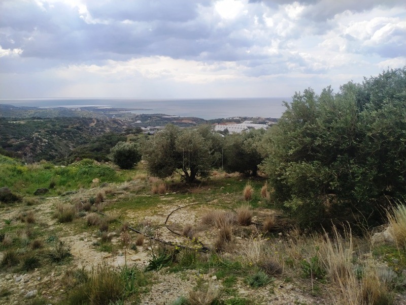 Αγροτεμάχια 751τ.μ. για πώληση-Μακρύς γιαλός