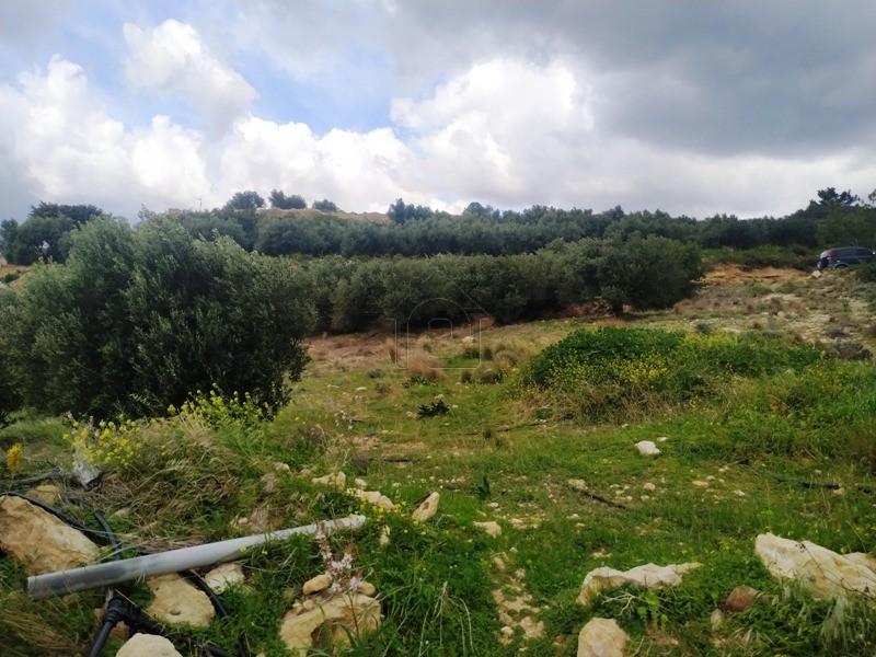 Αγροτεμάχια 751 τ.μ. πρός πώληση, Ν. Λασιθίου, Μακρύς Γιαλός