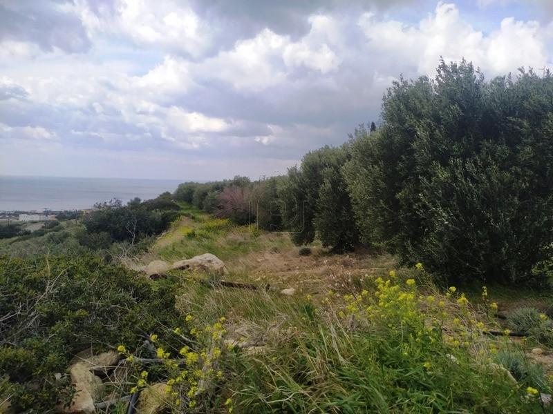 Αγροτεμάχια 751 τ.μ. πρός πώληση, Ν. Λασιθίου, Μακρύς Γιαλός
