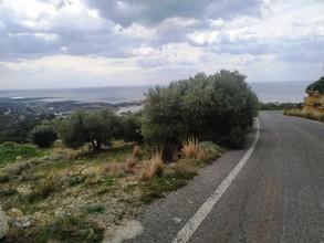 Αγροτεμάχια 751 τ.μ. για πώληση, Ν. Λασιθίου, Μακρύς Γιαλός-thumb-7