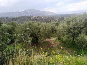 Αγροτεμάχια 751 τ.μ. για πώληση, Ν. Λασιθίου, Μακρύς Γιαλός-thumb-8