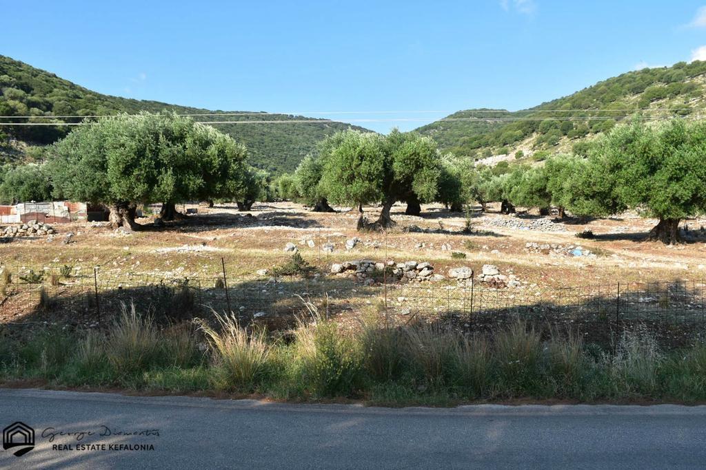 Αγροτεμάχια 27.000 τ.μ. πρός πώληση, Ν. Κεφαλονιάς, Κεφαλονιά