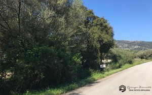 Parcel 4.000sqm for sale-Kefalonia » Pylaros