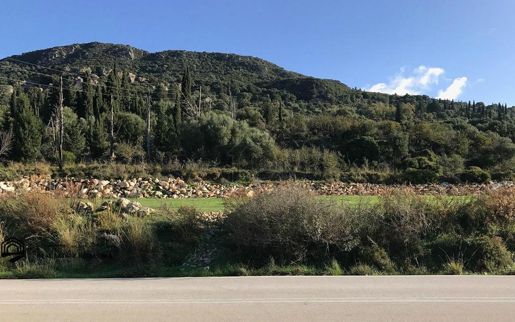 Οικόπεδο 9.000 τ.μ. πρός πώληση, Ν. Κεφαλονιάς, Κεφαλονιά