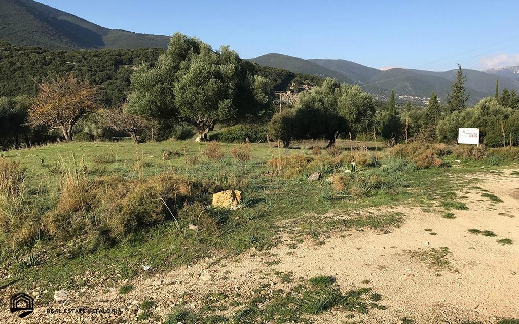 Οικόπεδο 9.000 τ.μ. πρός πώληση, Ν. Κεφαλονιάς, Κεφαλονιά