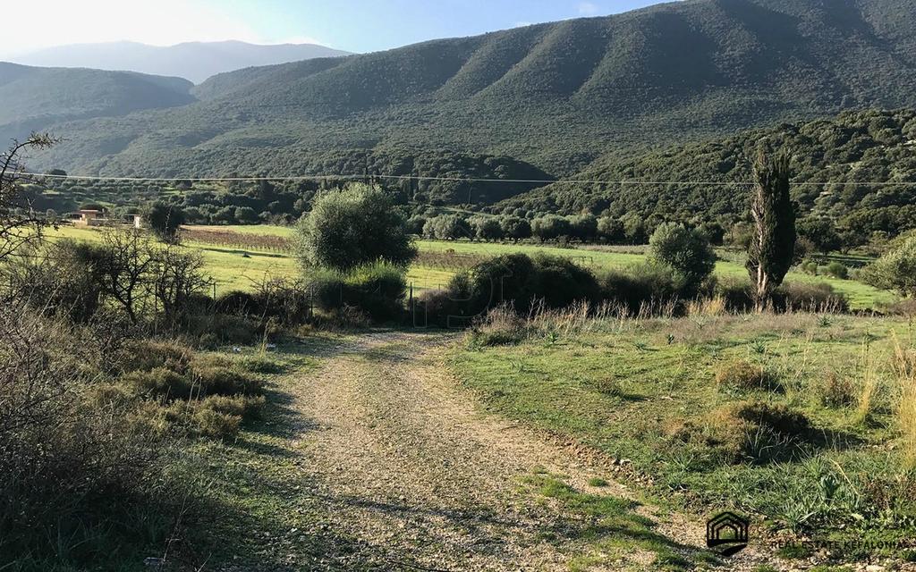 Οικόπεδο 9.000 τ.μ. πρός πώληση, Ν. Κεφαλονιάς, Κεφαλονιά
