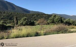 Οικόπεδο 9.000 τ.μ. για ενοικίαση, Ν. Κεφαλονιάς, Κεφαλονιά-thumb-2