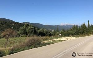 Οικόπεδο 9.000 τ.μ. για ενοικίαση, Ν. Κεφαλονιάς, Κεφαλονιά-thumb-4