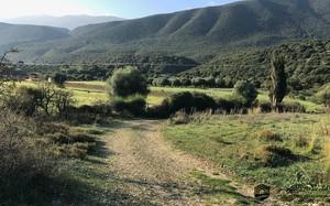 Οικόπεδο 9.000 τ.μ. για ενοικίαση, Ν. Κεφαλονιάς, Κεφαλονιά-thumb-5