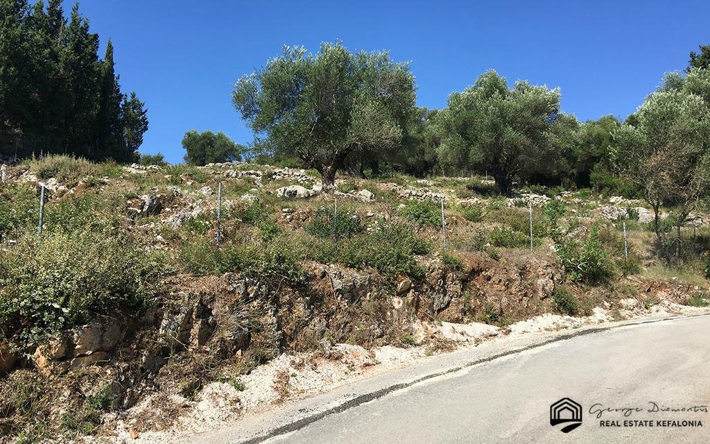 Αγροτεμάχια 2.491 τ.μ. πρός πώληση, Ν. Κεφαλονιάς, Κεφαλονιά