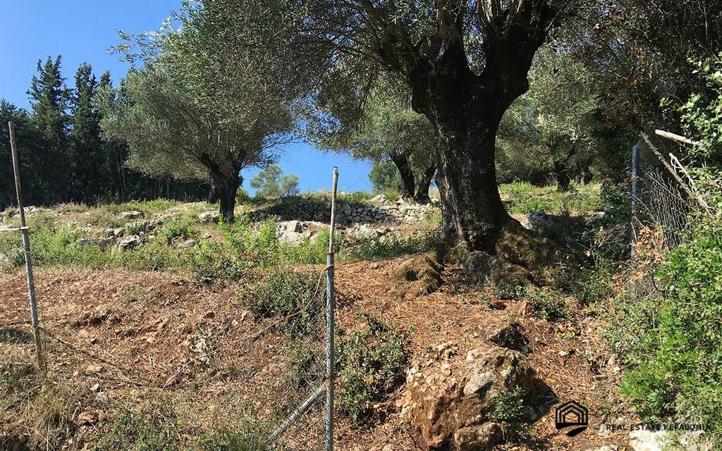 Αγροτεμάχια 2.491 τ.μ. πρός πώληση, Ν. Κεφαλονιάς, Κεφαλονιά