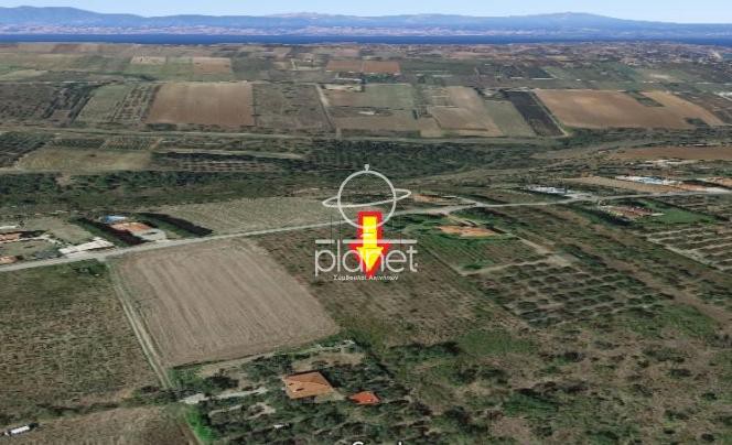Αγροτεμάχια 4.800τ.μ. για πώληση-Θερμαϊκός » Νέοι επιβάτες