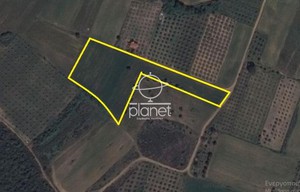 Parcel 12.000sqm for sale-Panagia » Pirgadikia