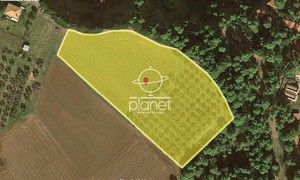 Parcel 12.500sqm for sale-Kassandra » Nea Fokaia