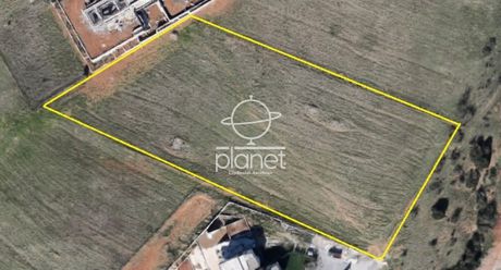 Αγροτεμάχια 6.696τ.μ. για πώληση-Πανόραμα » Συνοικισμός νόμου 751