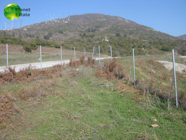 Αγροτεμάχια 7.500τ.μ. για πώληση-Χορτιάτης » Κέντρο