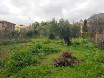 Land plot 600sqm for sale-Chios » Chios Town