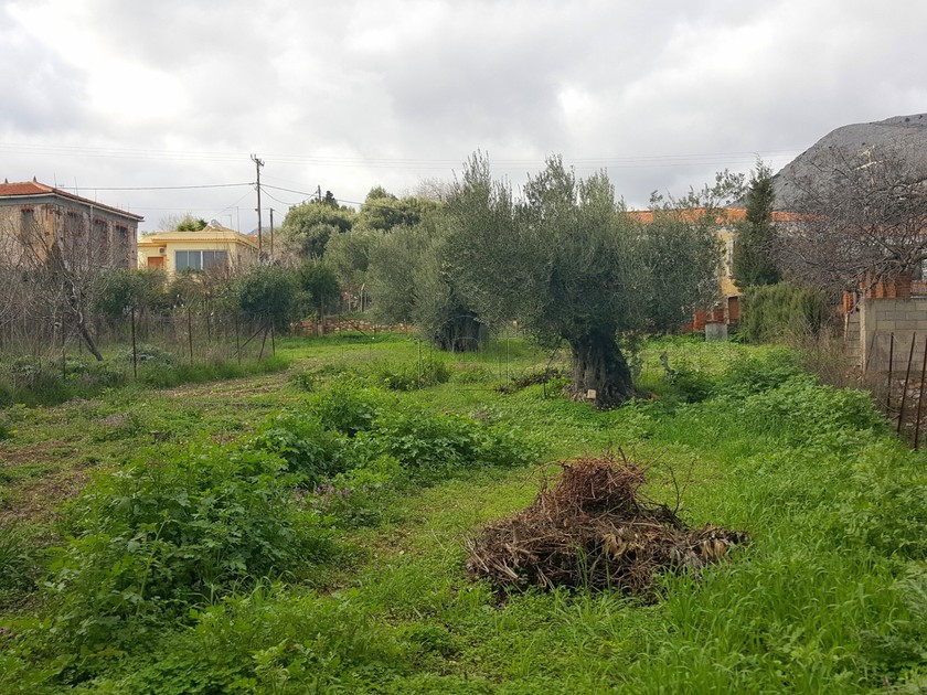 Land plot 600 sqm for sale, Chios Prefecture, Chios