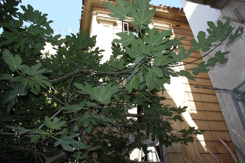 Κτίριο 0 τ.μ. πρός πώληση, Αθήνα - Κέντρο, Κυψέλη