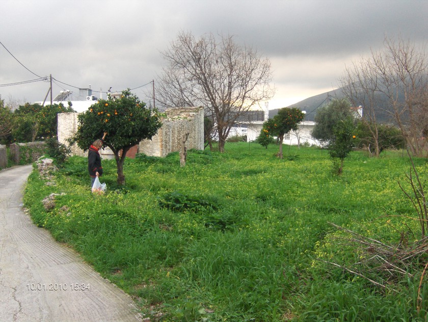 Οικόπεδο 300 τ.μ. για πώληση