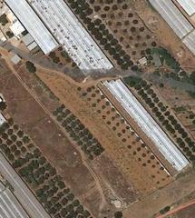 Οικόπεδο 6.000 τ.μ. για πώληση, Ν. Λασιθίου, Λεύκη-thumb-2