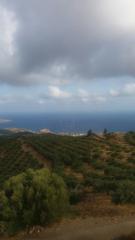 Οικόπεδο 1.000 τ.μ. για πώληση