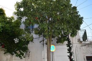 Μεζονέτα 32 τ.μ. προς πώληση, Μακρύς Γιαλός Λασιθίου-thumb-7