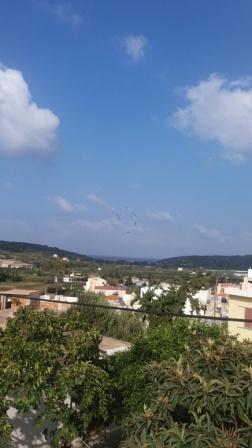 Διαμέρισμα 100 τ.μ. προς πώληση, Πισκοκέφαλο