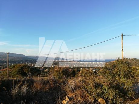 Land plot 1.729sqm for sale-Chios » Agios Minas